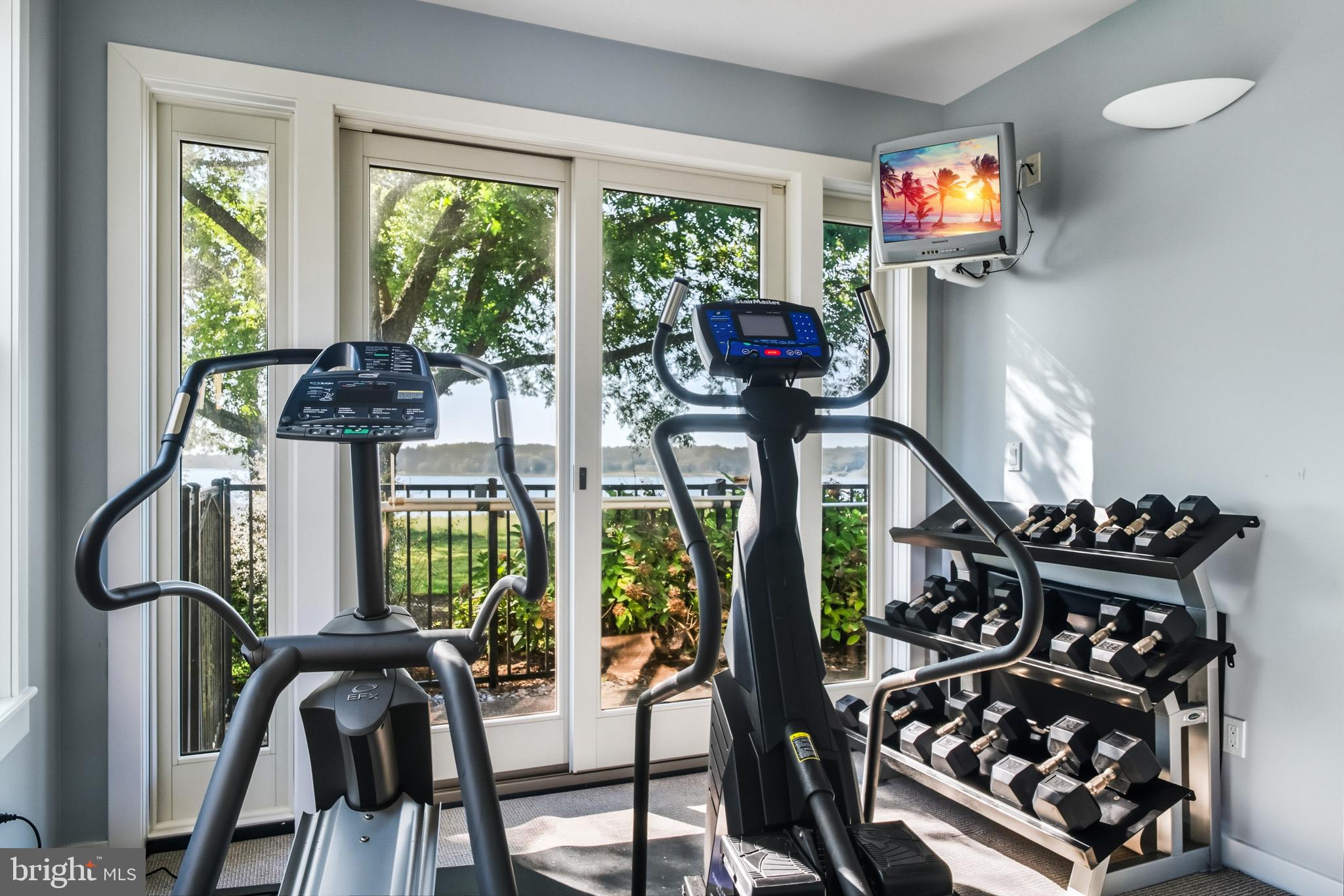 750 Cassidy Wharf Road Earleville, MD 21919 - Photo 90 of 143 Pool House Gym