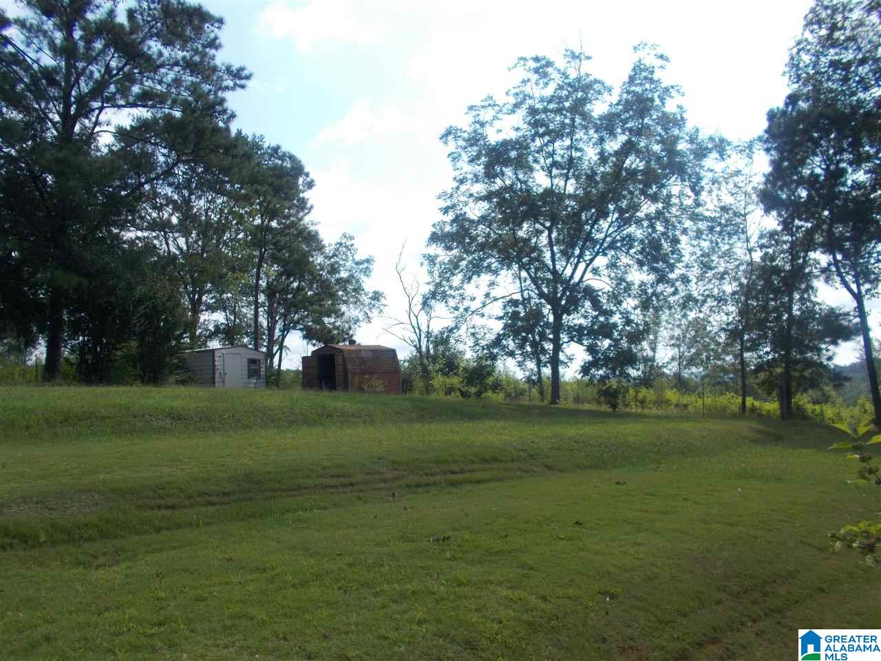 849 Fish Hatchery Road Eastaboga, AL 36260 - Photo 6 of 45