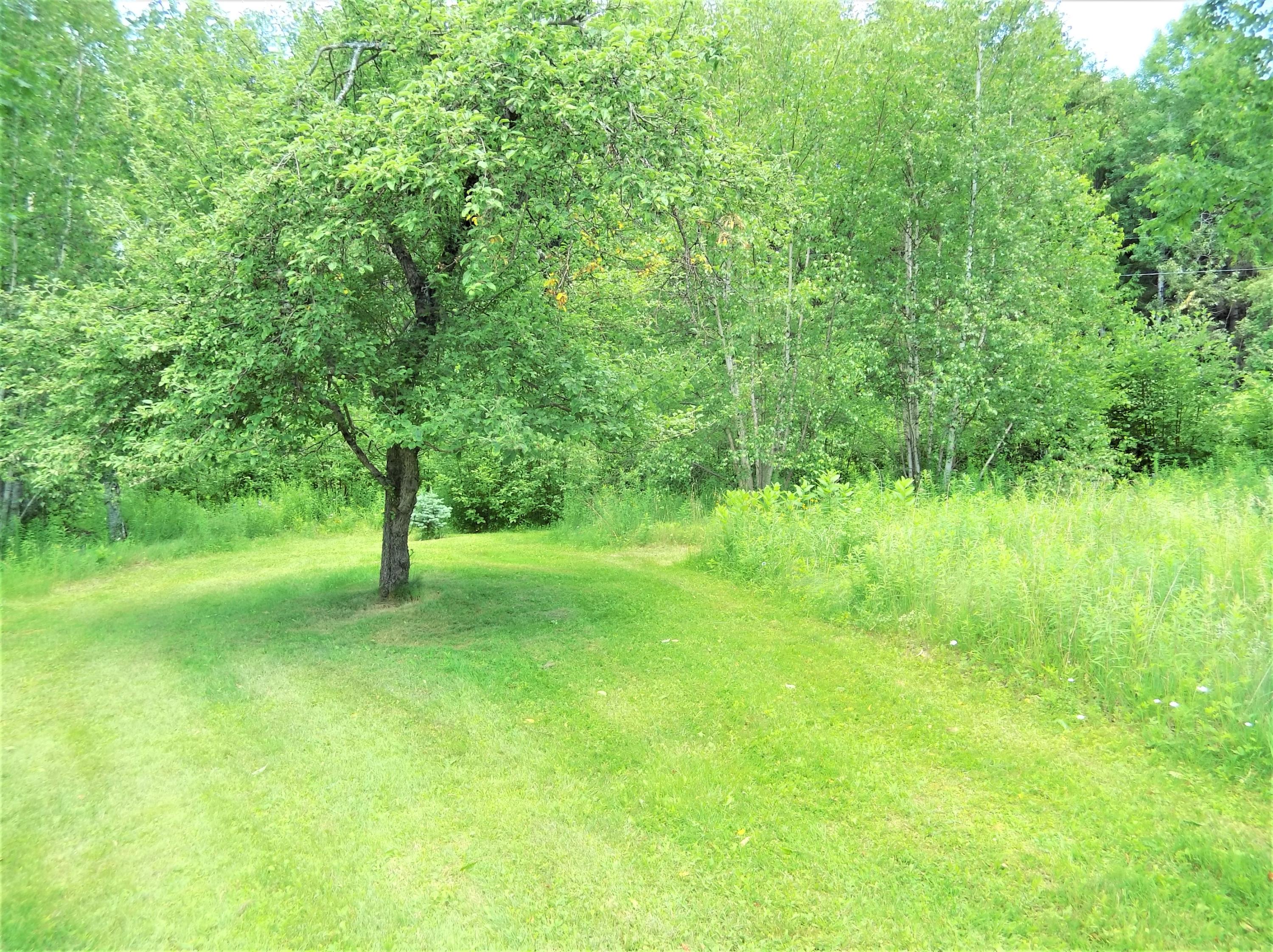 189 Coboro Road Stetson, ME 04488 - Photo 44 of 56 IMG_20190706_123053475