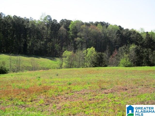 6971 Highway 24 Oneonta, AL 35121 - Photo 32 of 45