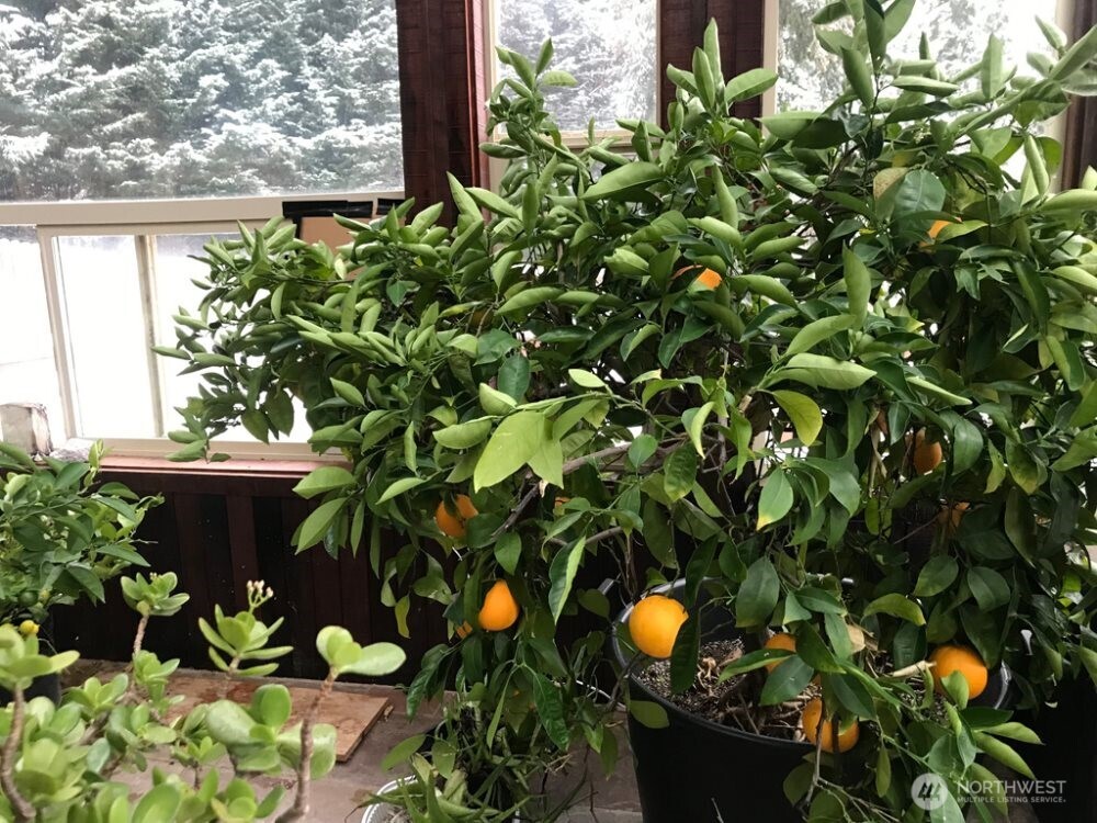 14405 Southwest Pohl Road Vashon, WA 98070 - Photo 30 of 38