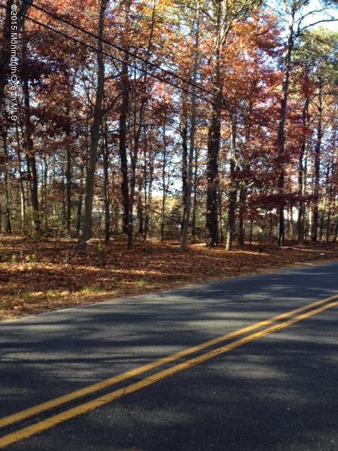 0 Maxim Southard Road Howell, NJ 07731 - Photo 3 of 12 a view of park space