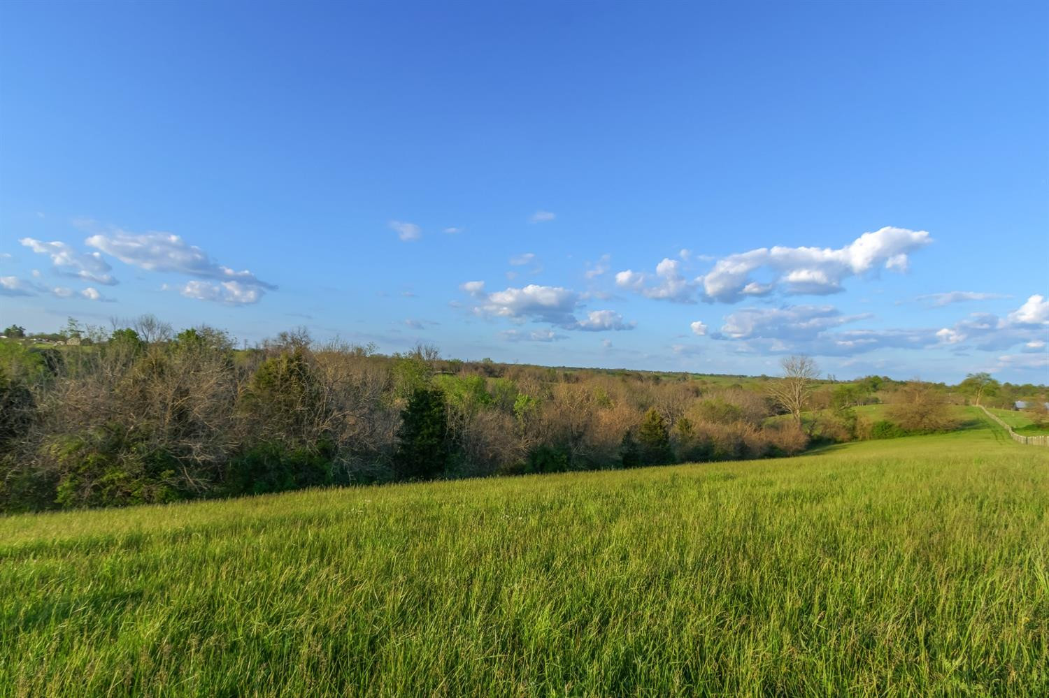 4572 Ecton Road Winchester, KY 40391 - Photo 59 of 69 Photo 59