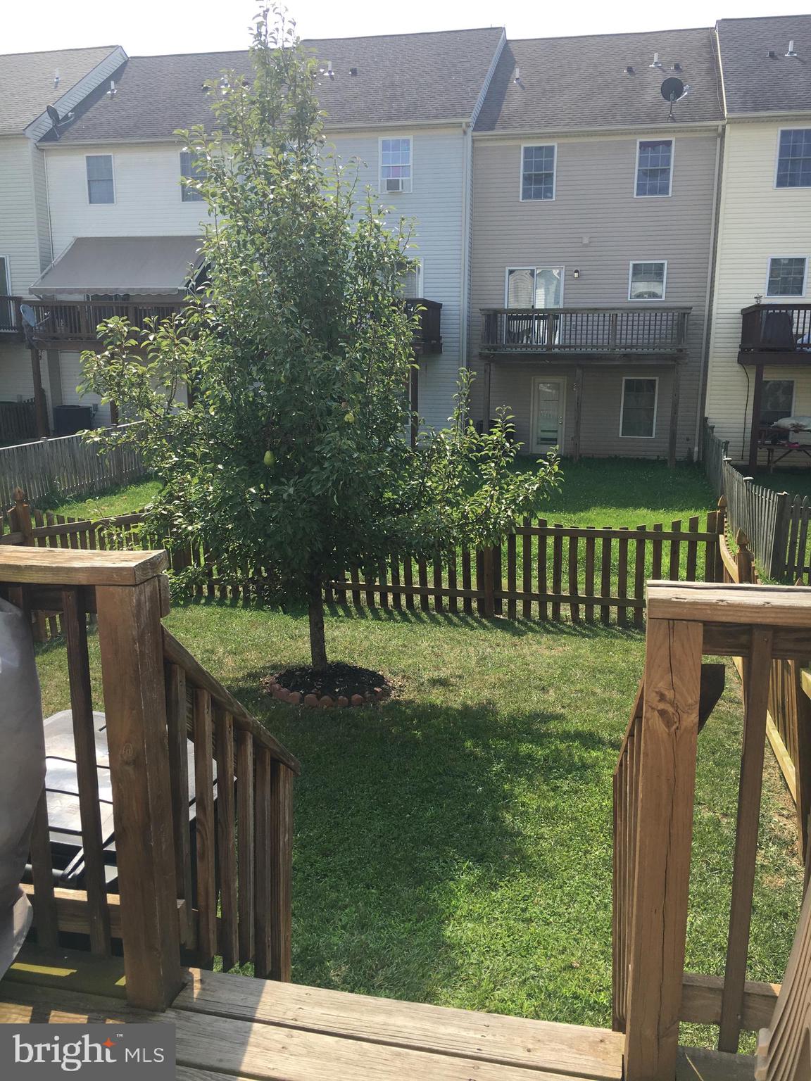 20 Mabel Lane Martinsburg, WV 25404 - Photo 3 of 30 a view of a house with a garden