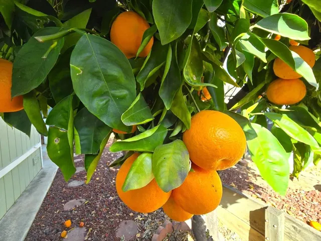 $110,000 | 1212 H Street, Unit 95, Ramona, CA 92065