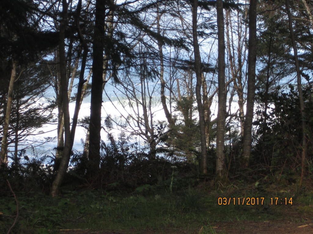Ray Brown Road Arch Cape, OR 97102 - Photo 1 of 21 Ray Brown view through trees