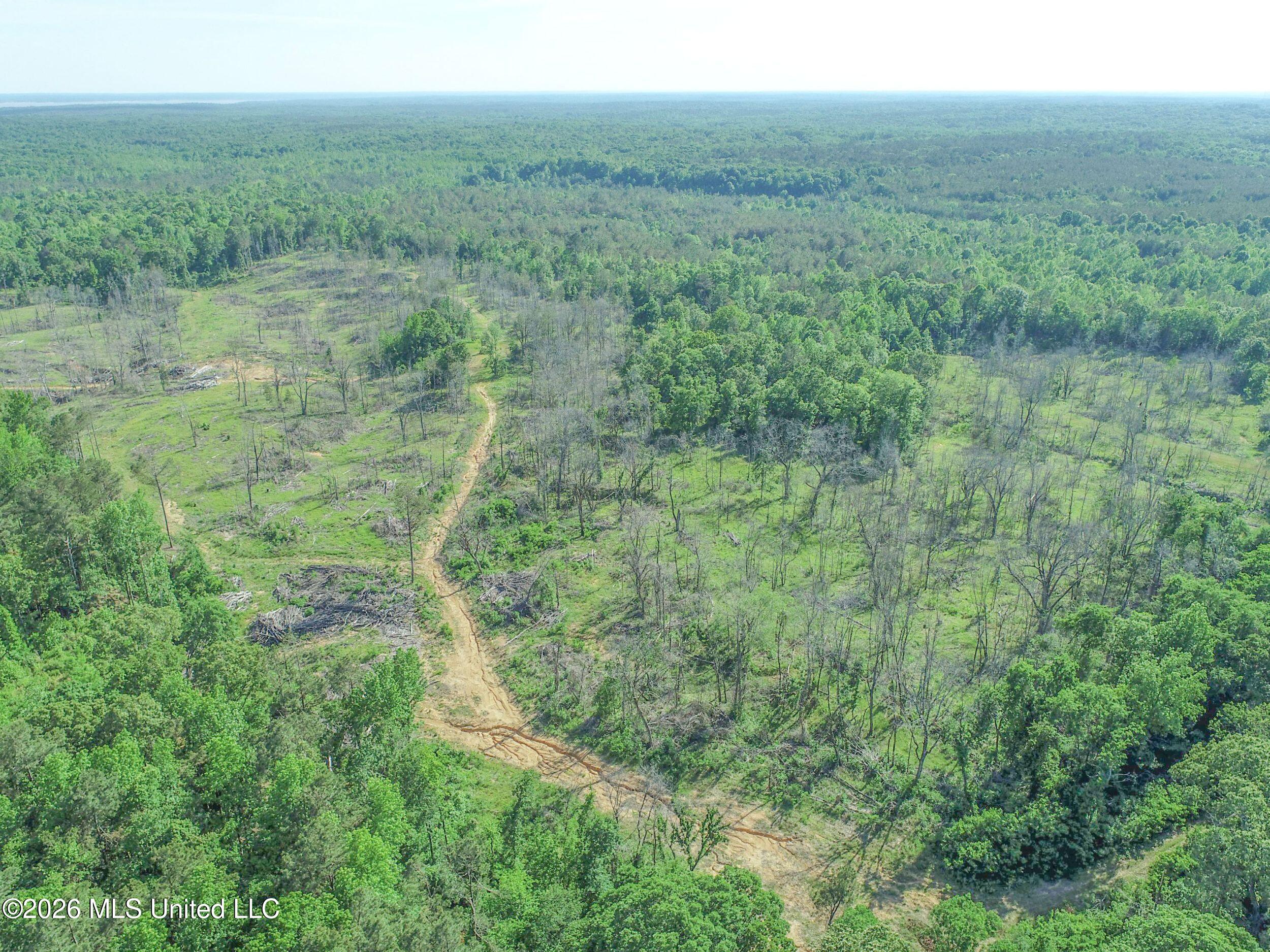 Wayne Massie Road Como, MS 38619 - Photo 28 of 184 3ctwmrd12