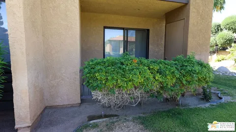 a view of a backyard with plants