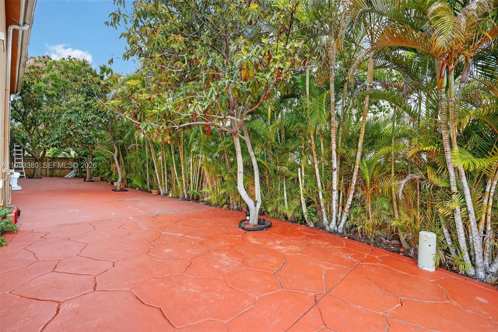 15672 Southwest 91st Lane Miami, FL 33196 - Photo 38 of 47 a view of a yard with plants and wooden fence