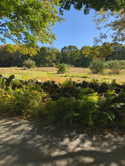 0 Bridgetown Road Saunderstown, RI 02874 - Photo 8 of 12