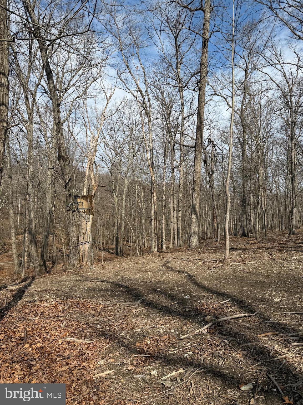 0 Gue Road Damascus, MD 20872 - Photo 3 of 8