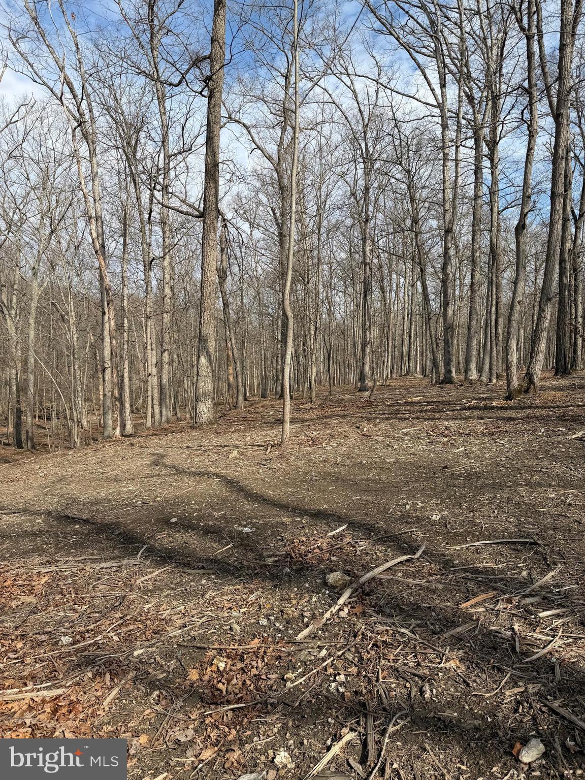 0 Gue Road Damascus, MD 20872 - Photo 4 of 8