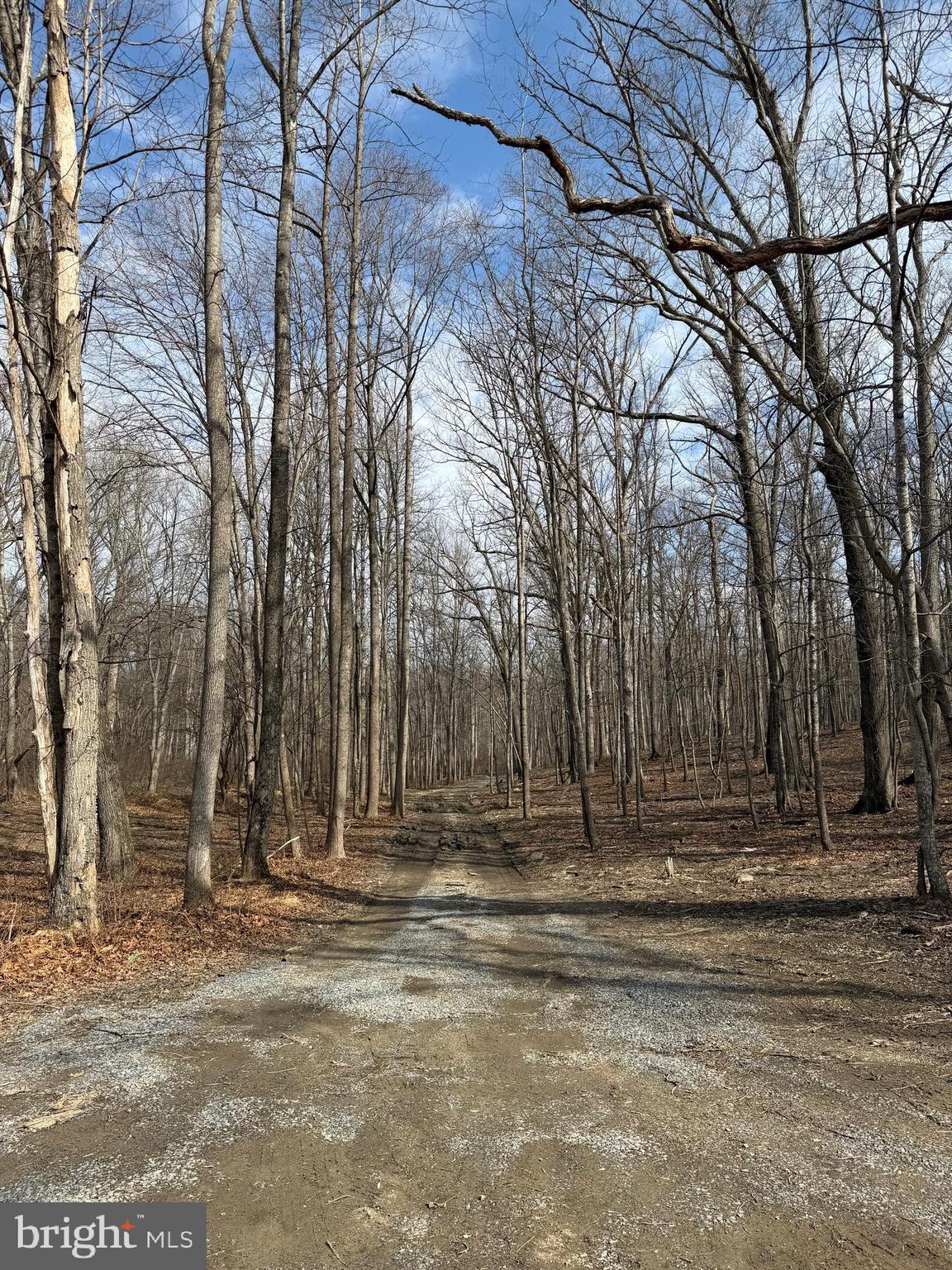 0 Gue Road Damascus, MD 20872 - Photo 5 of 8