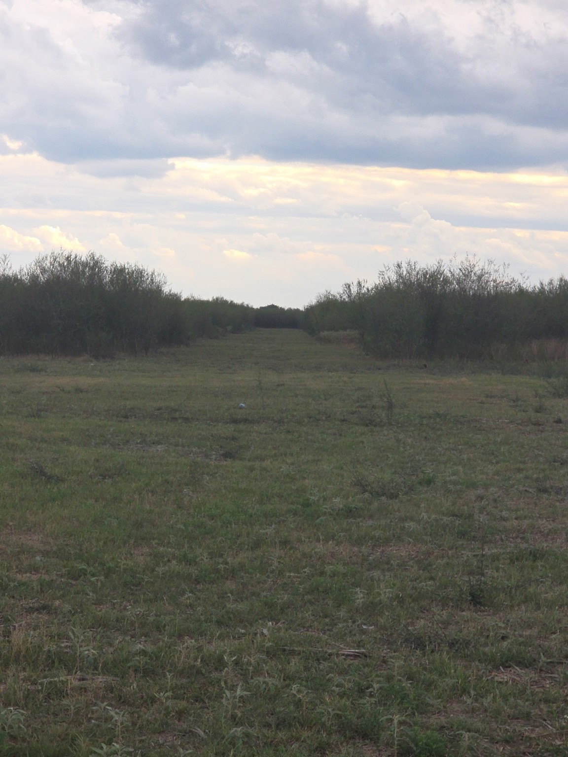 36847 Richard Frey Road, Unit 4 Hempstead, TX 77445 - Photo 13 of 18 a view of mountain with lake view