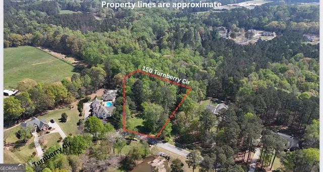 a view of a garden with flowers