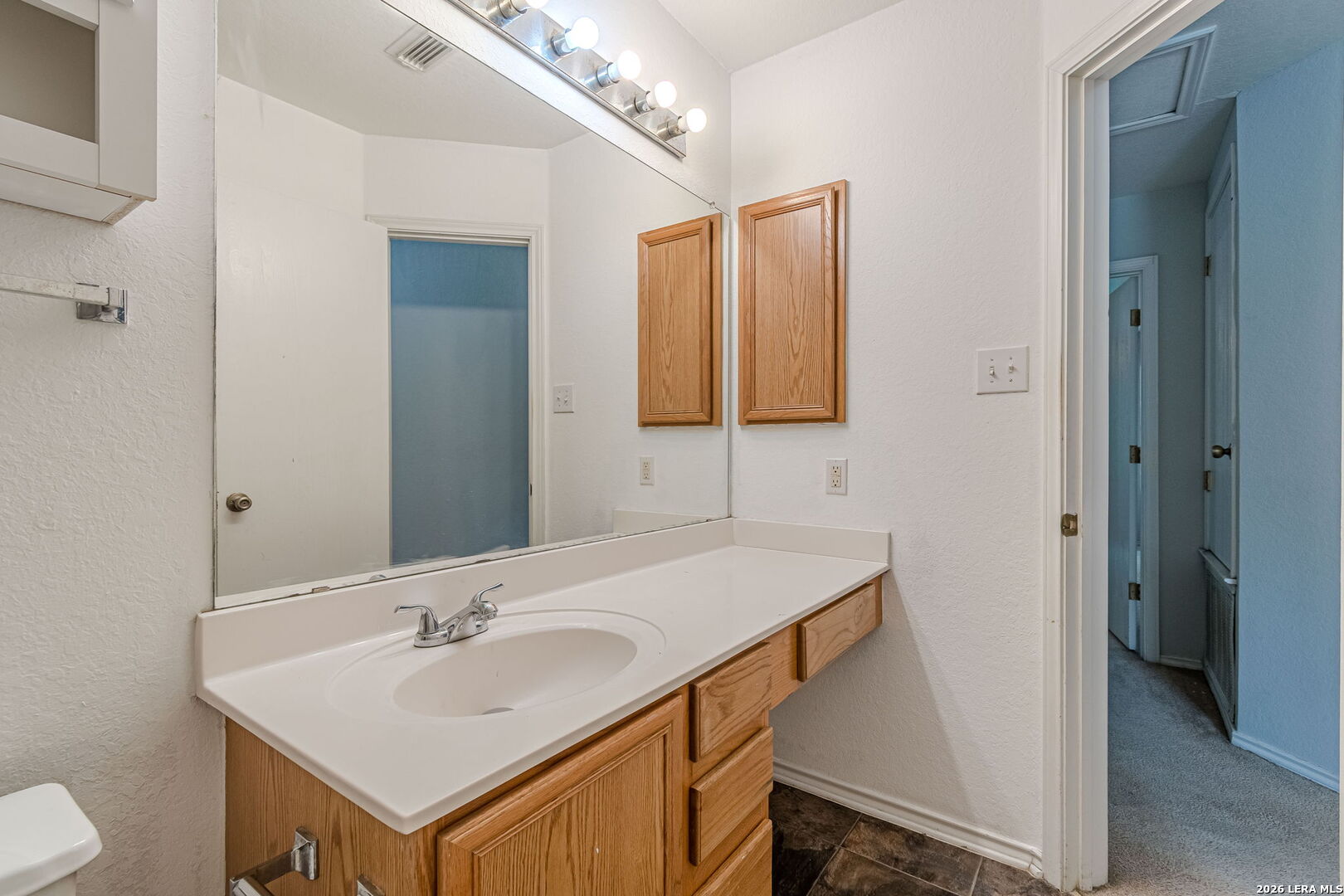 164 Springtree Hollow Cibolo, TX 78108 - Photo 28 of 44