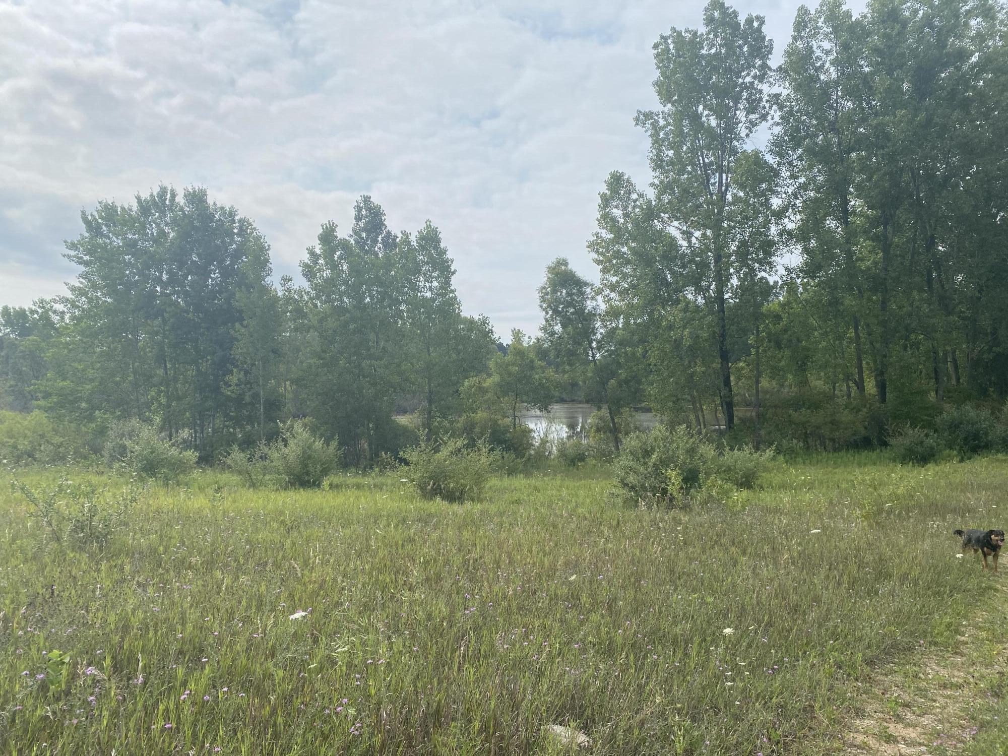 21867 Pierson Road Pierson, MI 49339 - Photo 2 of 9 50B98578-439B-4E6A-AFCB-48C0909EB37D