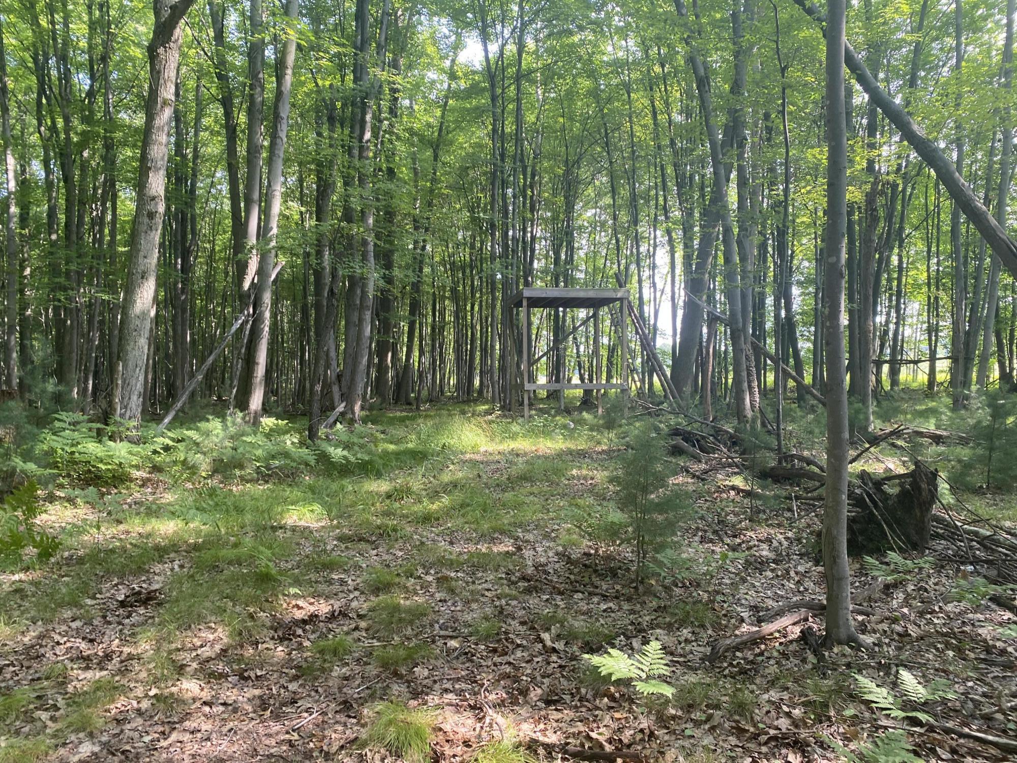 21867 Pierson Road Pierson, MI 49339 - Photo 3 of 9 C7E67F37-BDC2-483C-9BCF-7C25A8B65B74