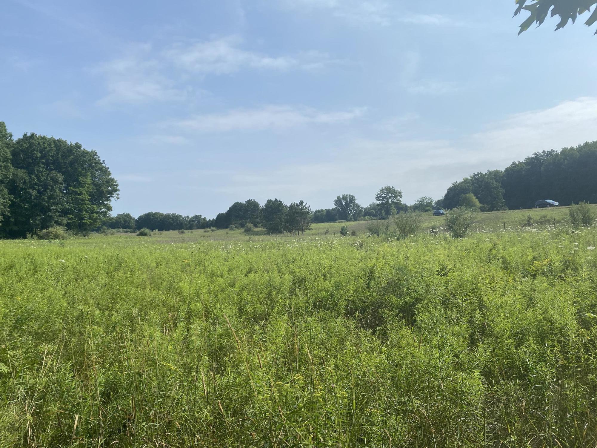 21867 Pierson Road Pierson, MI 49339 - Photo 5 of 9 49C978AC-DF8D-46B3-9745-713394D78F0A