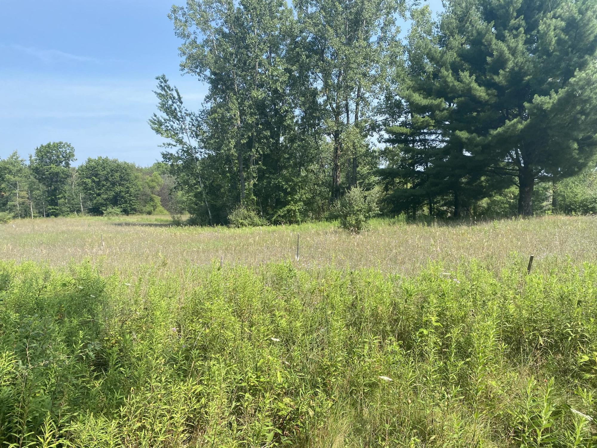 21867 Pierson Road Pierson, MI 49339 - Photo 6 of 9 4D574417-B8BA-4E97-BA4C-954BF87BB206