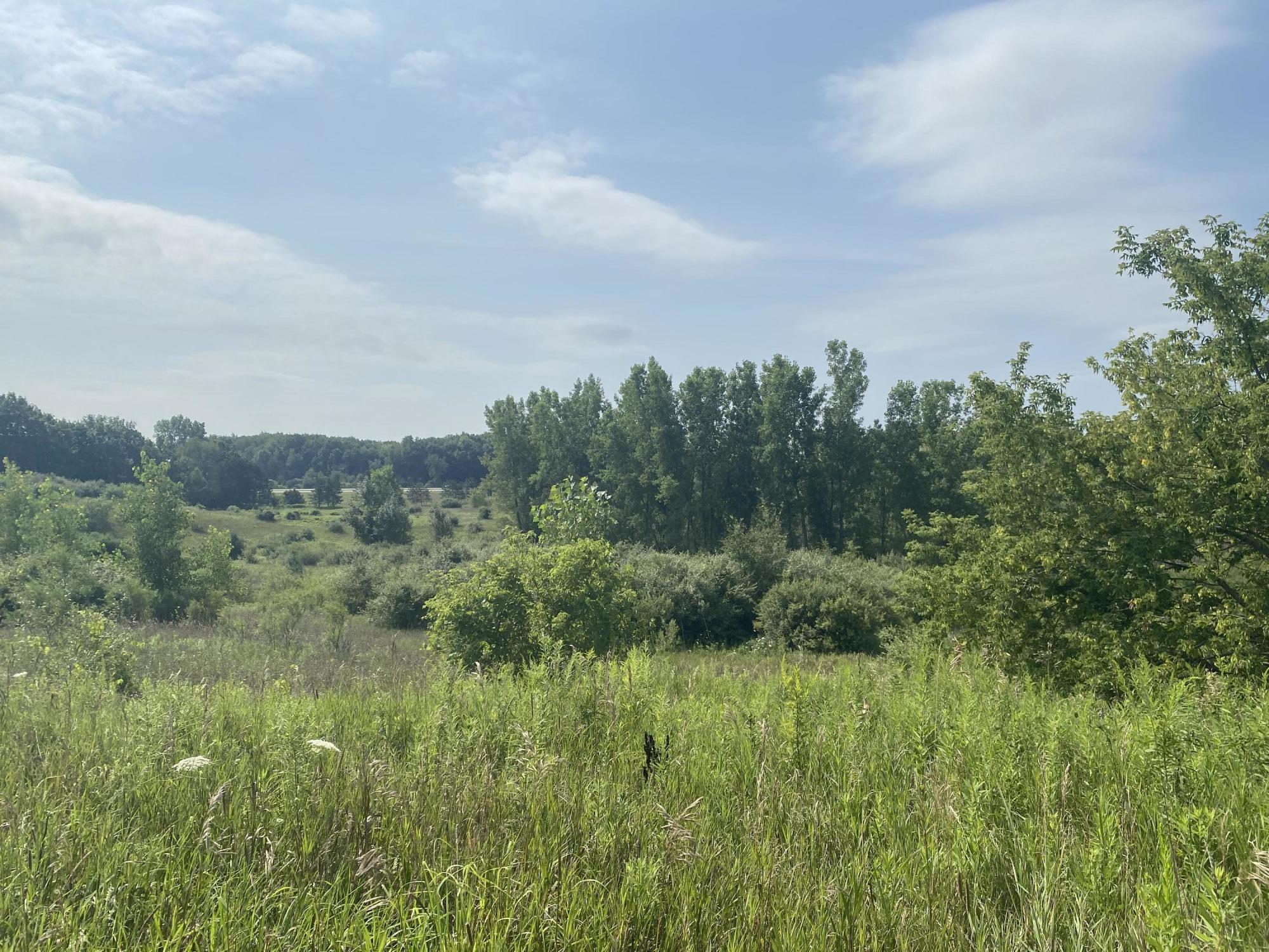 21867 Pierson Road Pierson, MI 49339 - Photo 9 of 9 0BED797B-0137-4FA5-9771-DE5F0E37C8C8