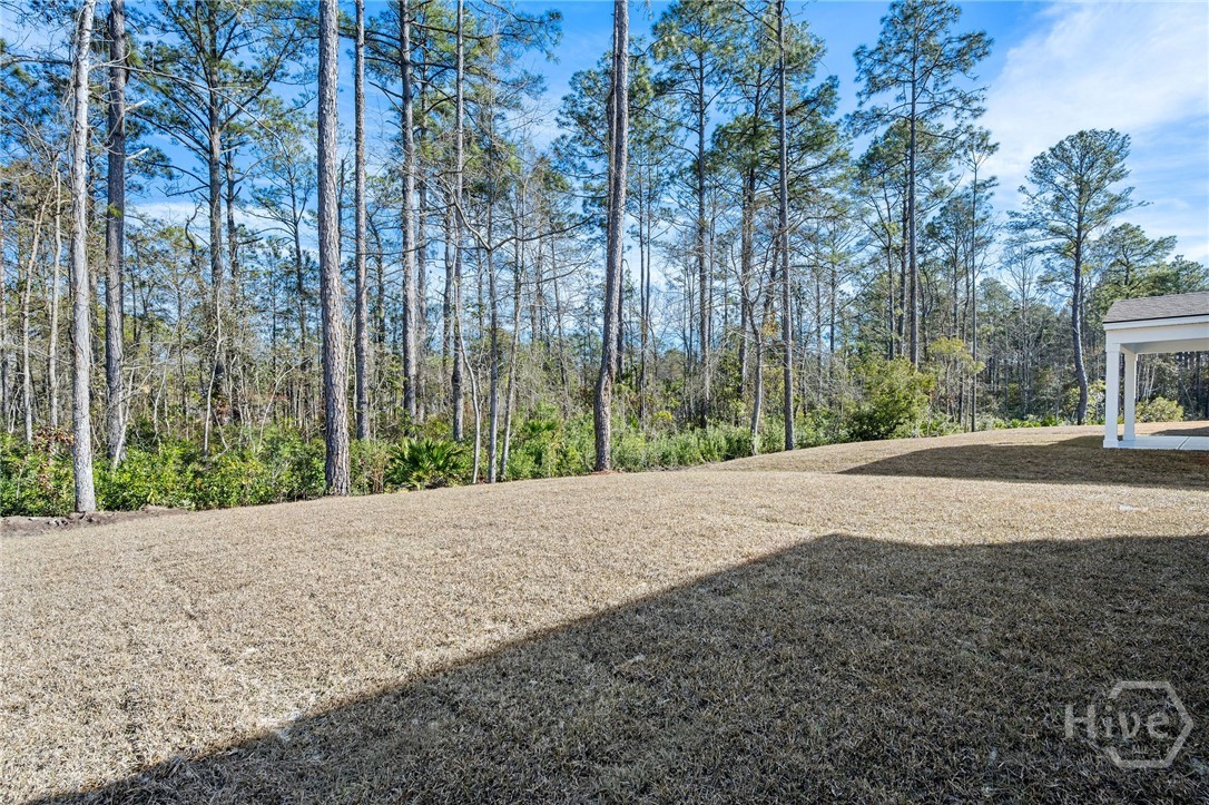 432 MONTEREY Loop Richmond Hill, GA 31324 - Photo 43 of 54