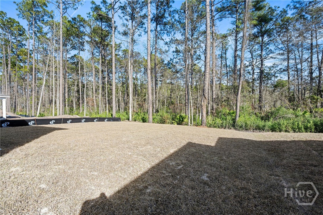 432 MONTEREY Loop Richmond Hill, GA 31324 - Photo 47 of 54