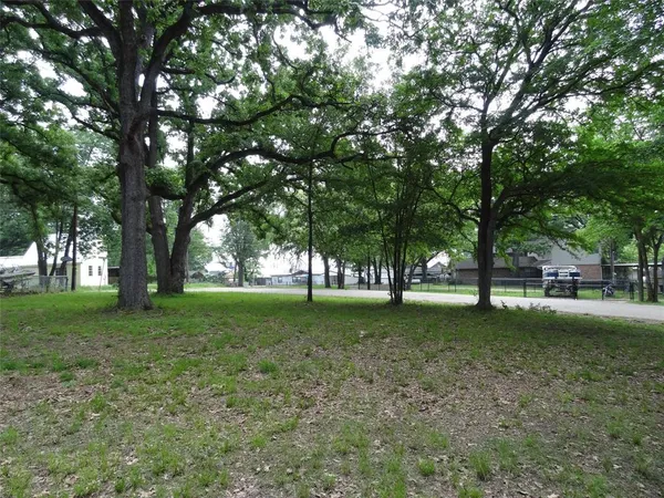 a view of a trees in a yard