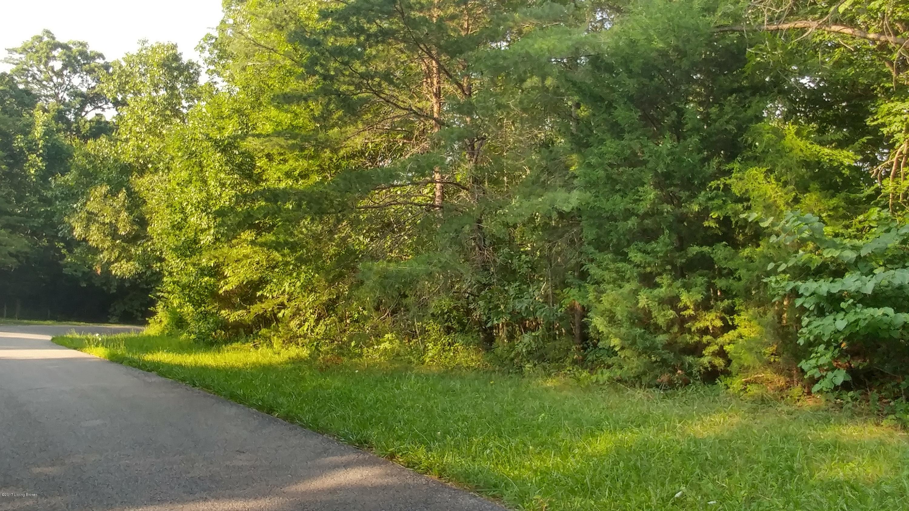 Lot 2 Brooks View Road Brooks, KY 40109 - Photo 2 of 3 0721171858_HDR