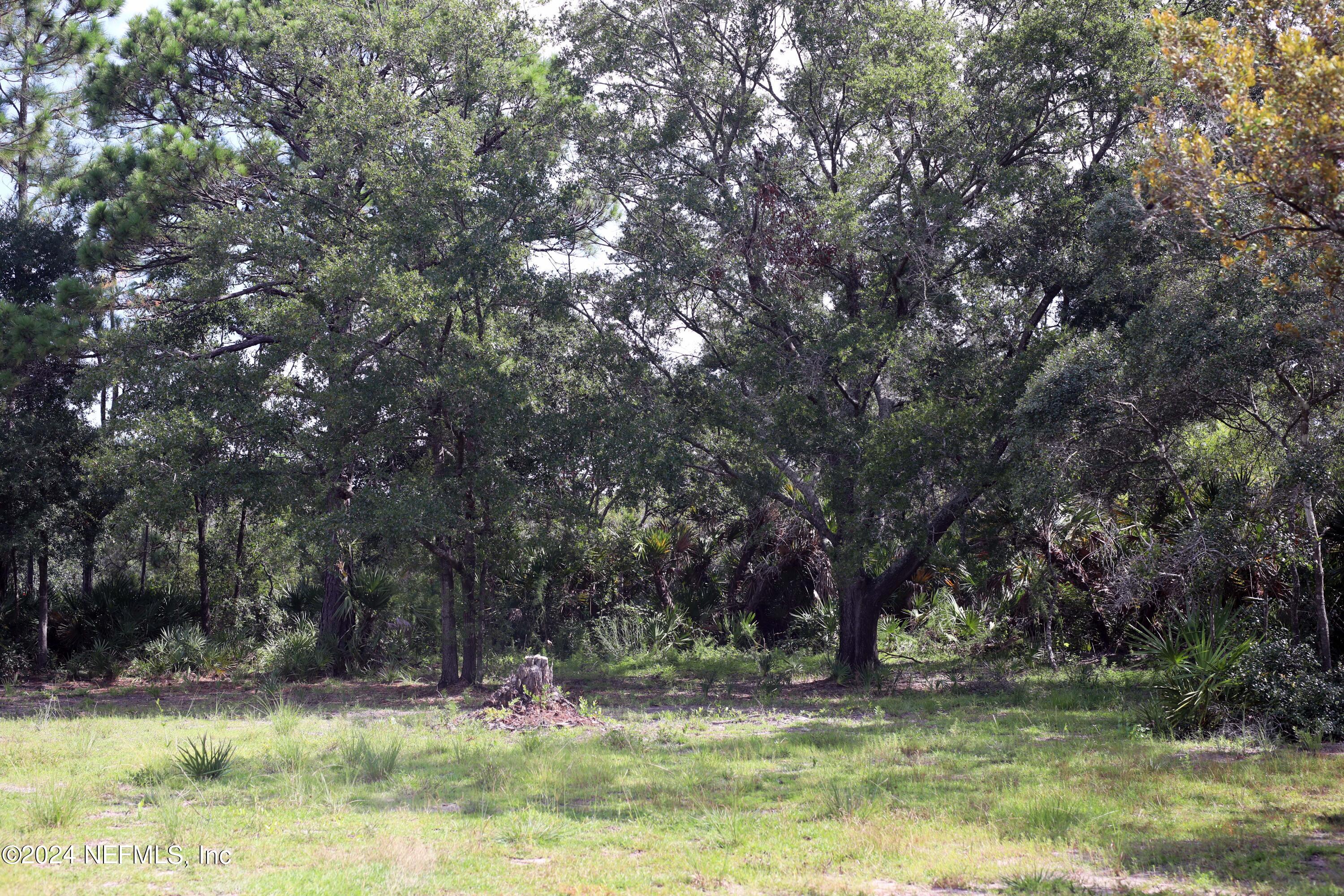 15506 Flounder Road Jacksonville, FL 32226 - Photo 11 of 50 0F1A1858