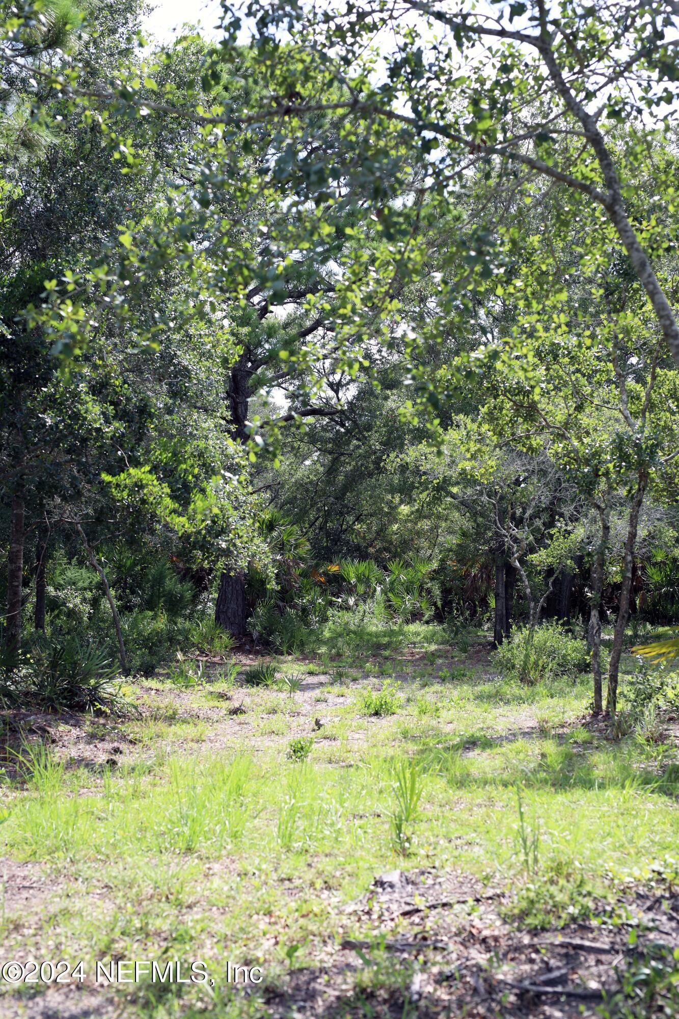 15506 Flounder Road Jacksonville, FL 32226 - Photo 13 of 50 0F1A1865