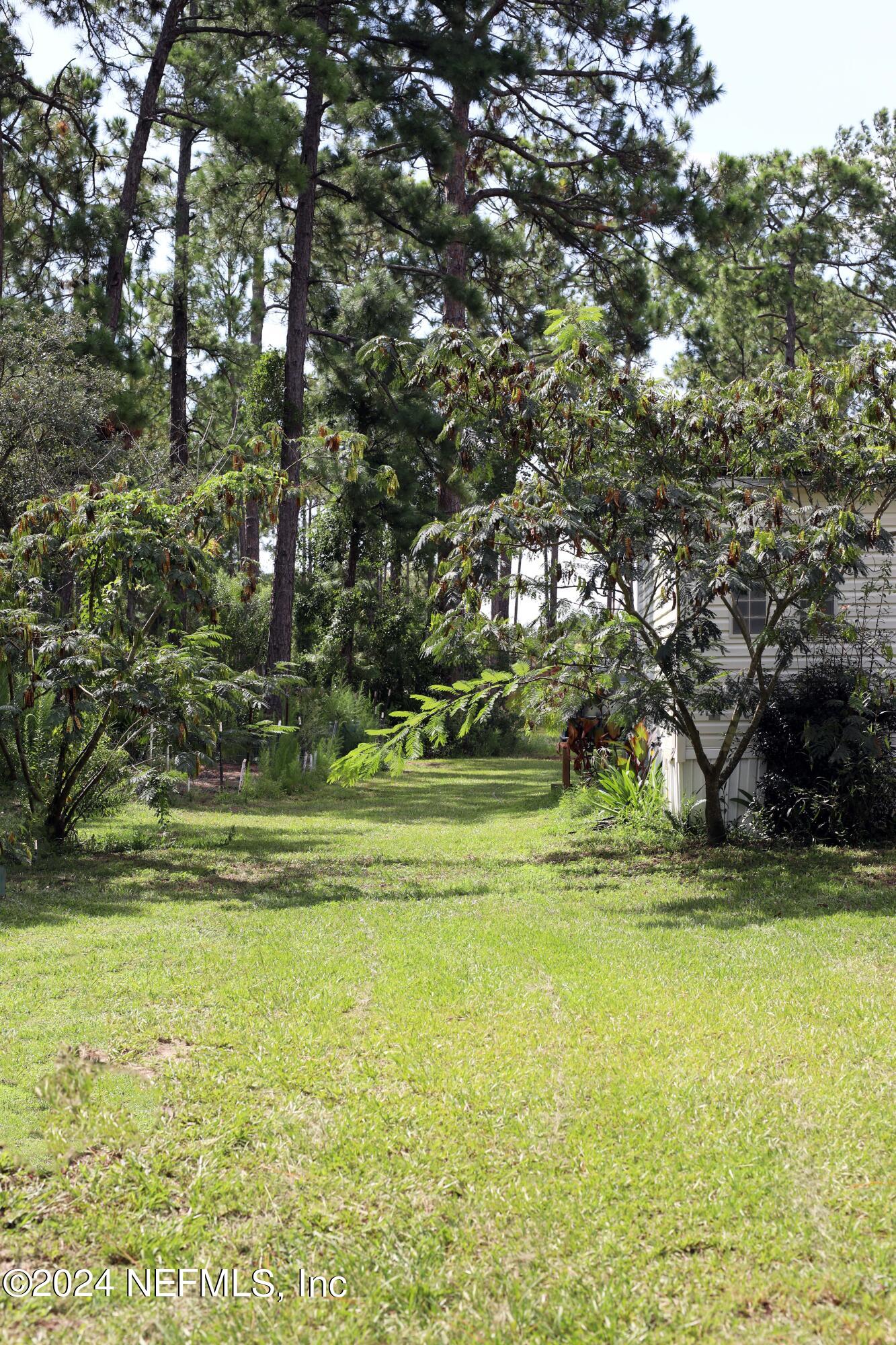 15506 Flounder Road Jacksonville, FL 32226 - Photo 8 of 50 0F1A1875