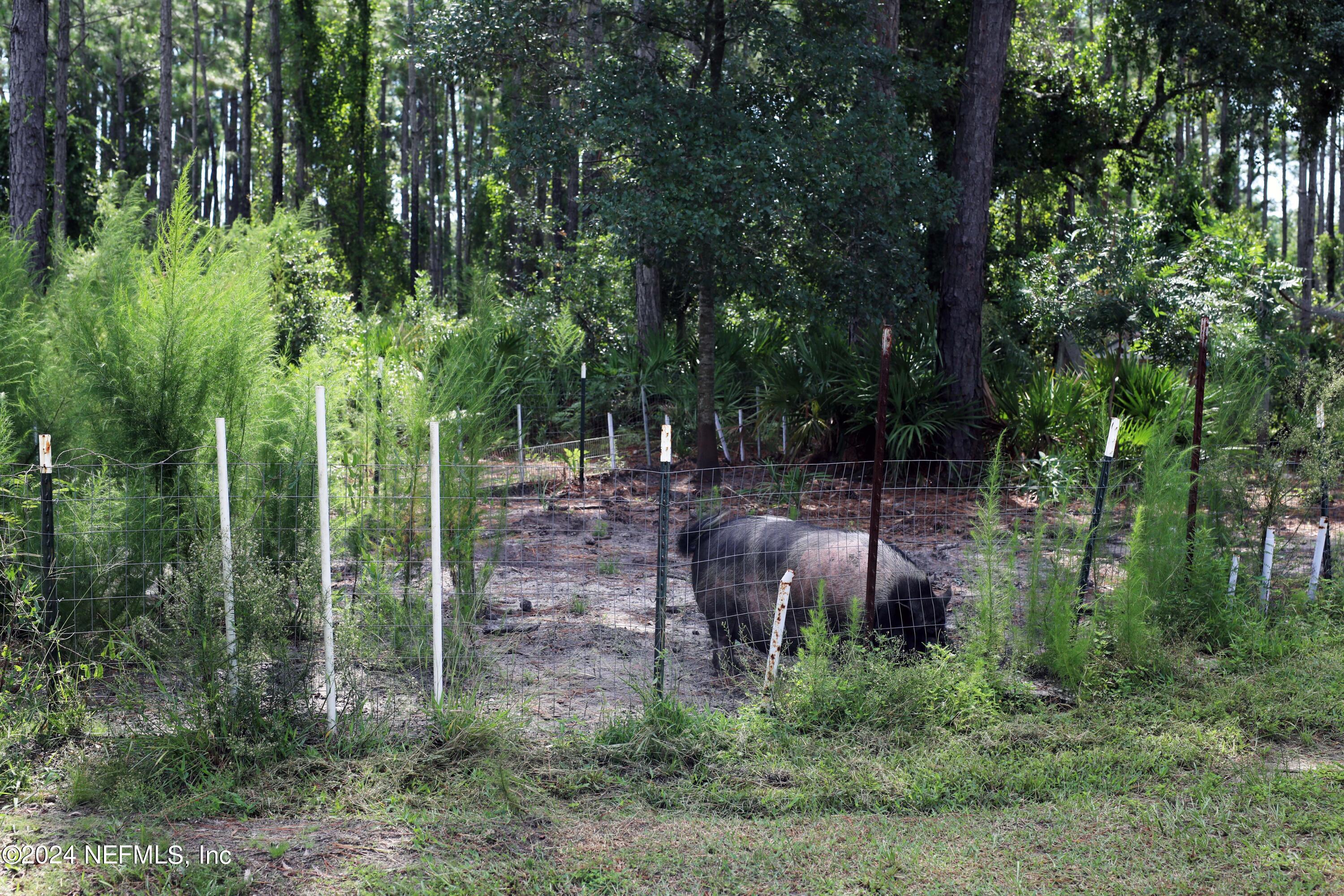 15506 Flounder Road Jacksonville, FL 32226 - Photo 9 of 50 0F1A1885