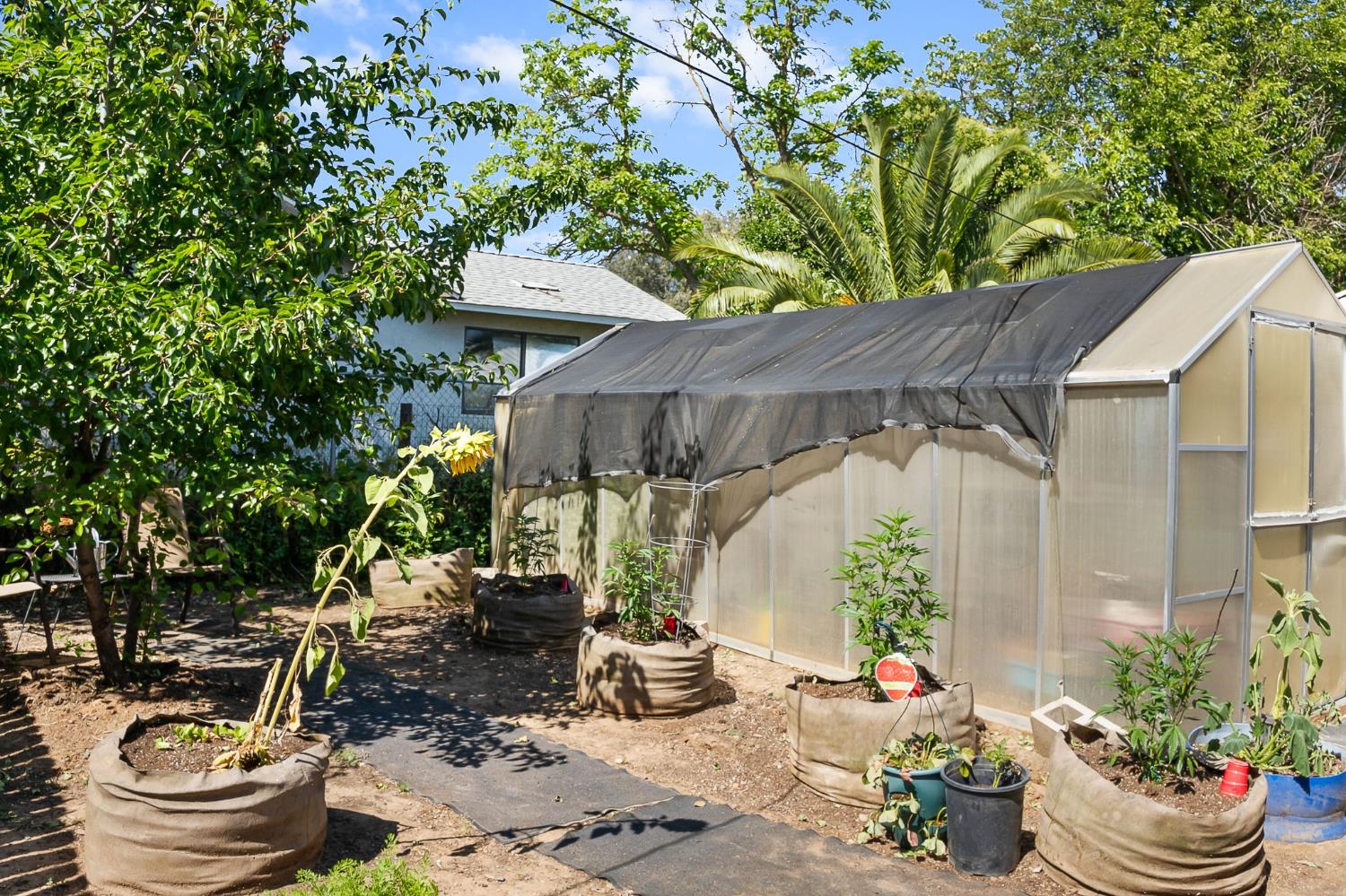 6837 Rio Linda Boulevard Rio Linda, CA 95673 - Photo 11 of 51 a view of a patio with table and chairs potted plants