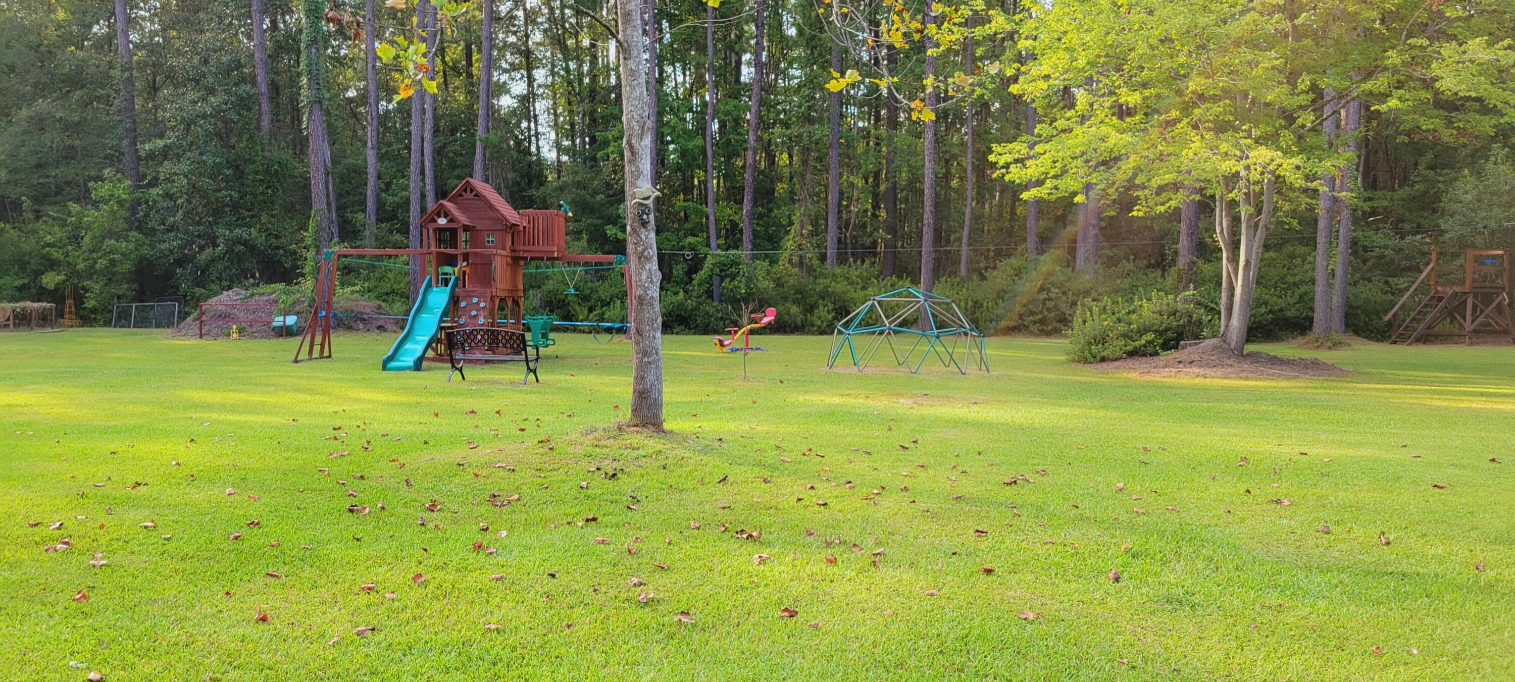 1461 State Rd S-15-689 Walterboro, SC 29488 - Photo 38 of 50 20210907_174918