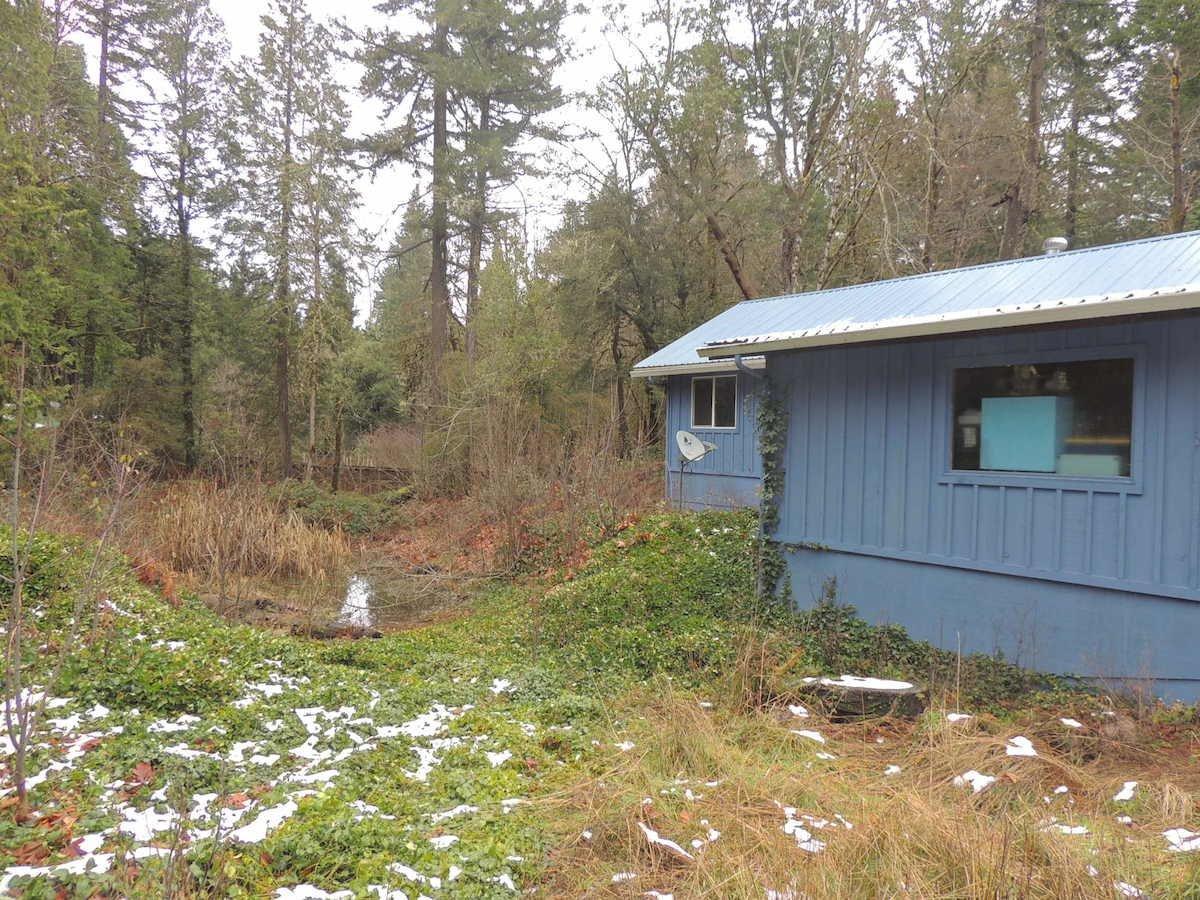 4450 Thompson Creek Road Selma, OR 97538 - Photo 7 of 30 Additional Photo