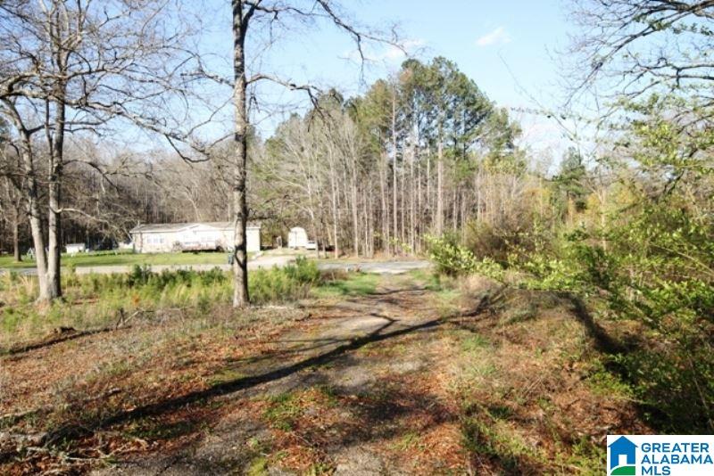 3590 Post Oak Road Jacksonville, AL 36265 - Photo 10 of 11