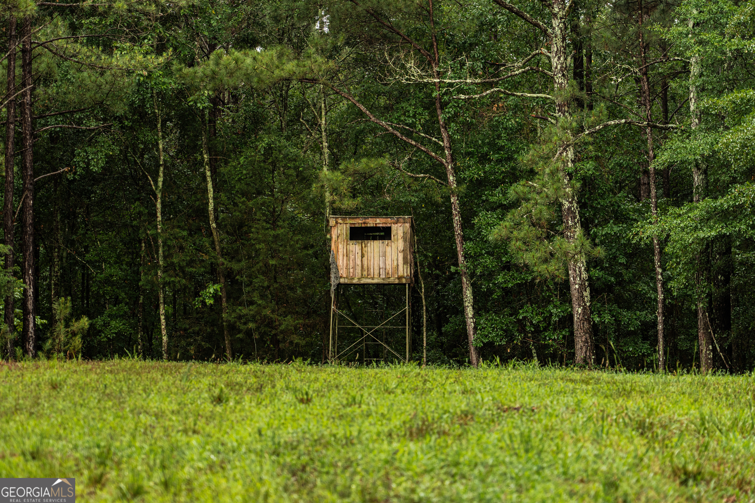 990 Highway 49 Americus, GA 31719 - Photo 68 of 121