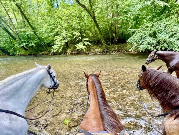 $1,599,000 | 1416 High Valley Way, Lenoir, NC 28645