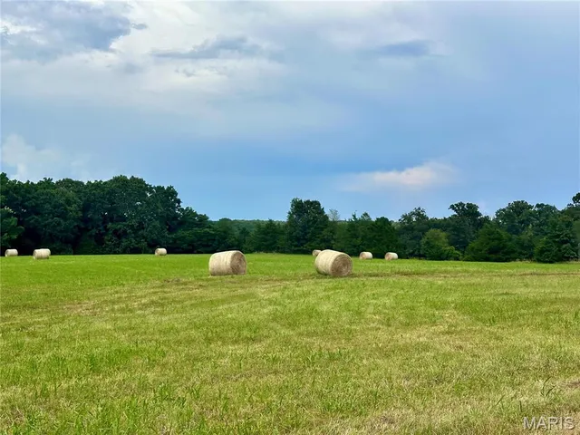 $989,000 | 0 West Spruce Street, Houston, MO 65483