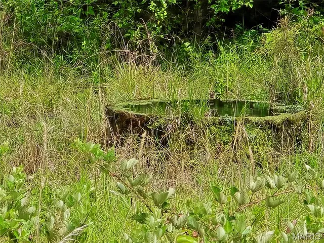 $989,000 | 0 West Spruce Street, Houston, MO 65483