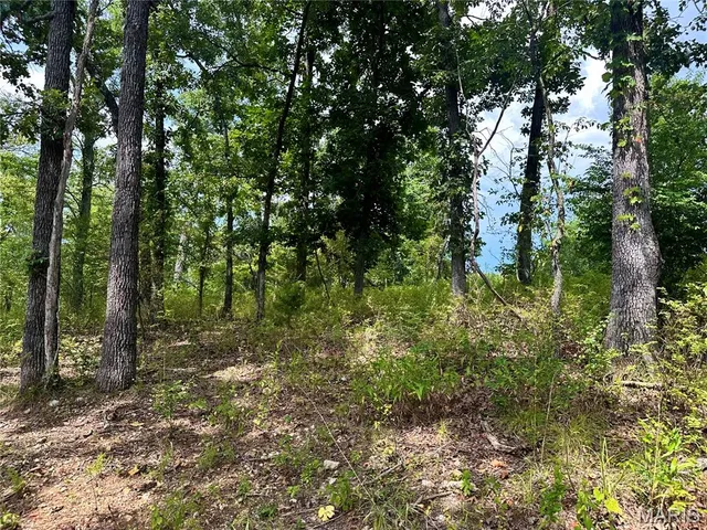 $989,000 | 0 West Spruce Street, Houston, MO 65483