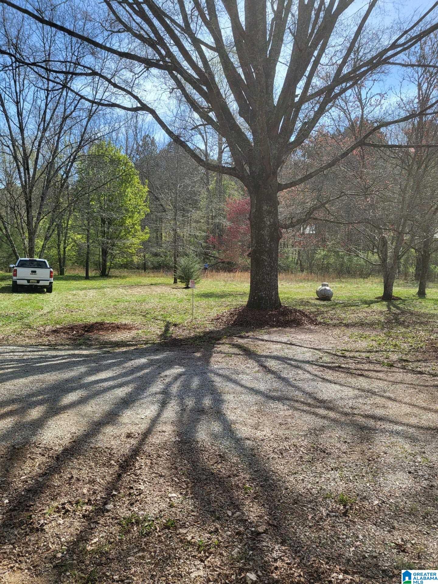 7051 Goodner Mountain Road Trussville, AL 35173 - Photo 12 of 15