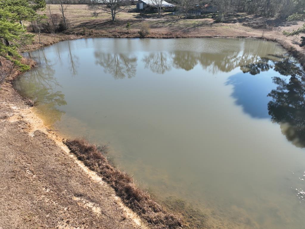 501 Cool Springs Road Opp, AL 36467 - Photo 40 of 48 Pond
