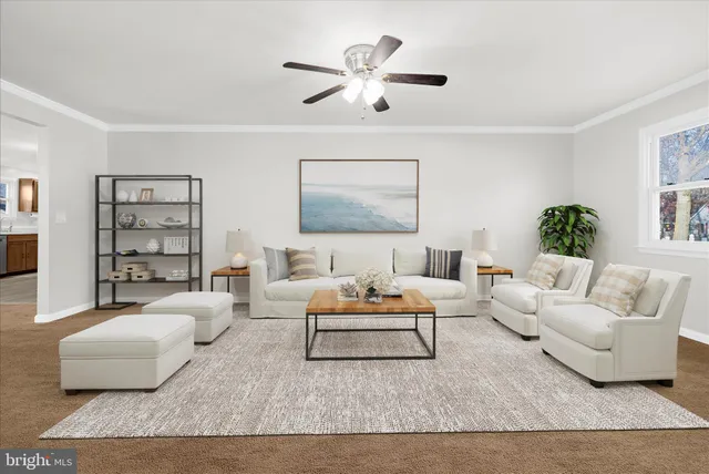 a living room with furniture and a couch