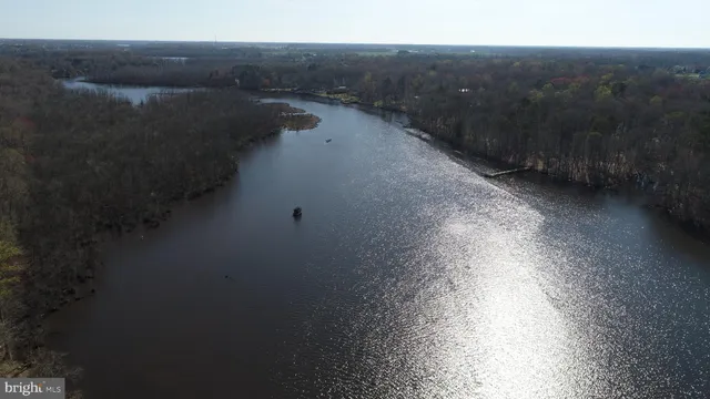a view of a house with a big yard and large trees