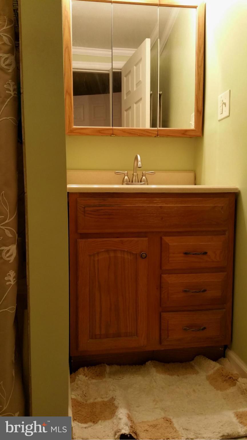 793 Old Waynesboro Road Fairfield, PA 17320 - Photo 11 of 28 Bath (Master)