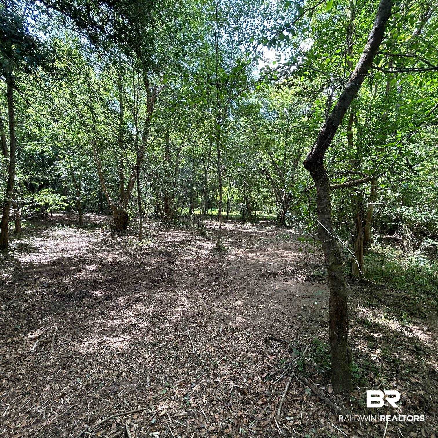 23587 Cowling Road Robertsdale, AL 36567 - Photo 30 of 40 Gallery Image 30
