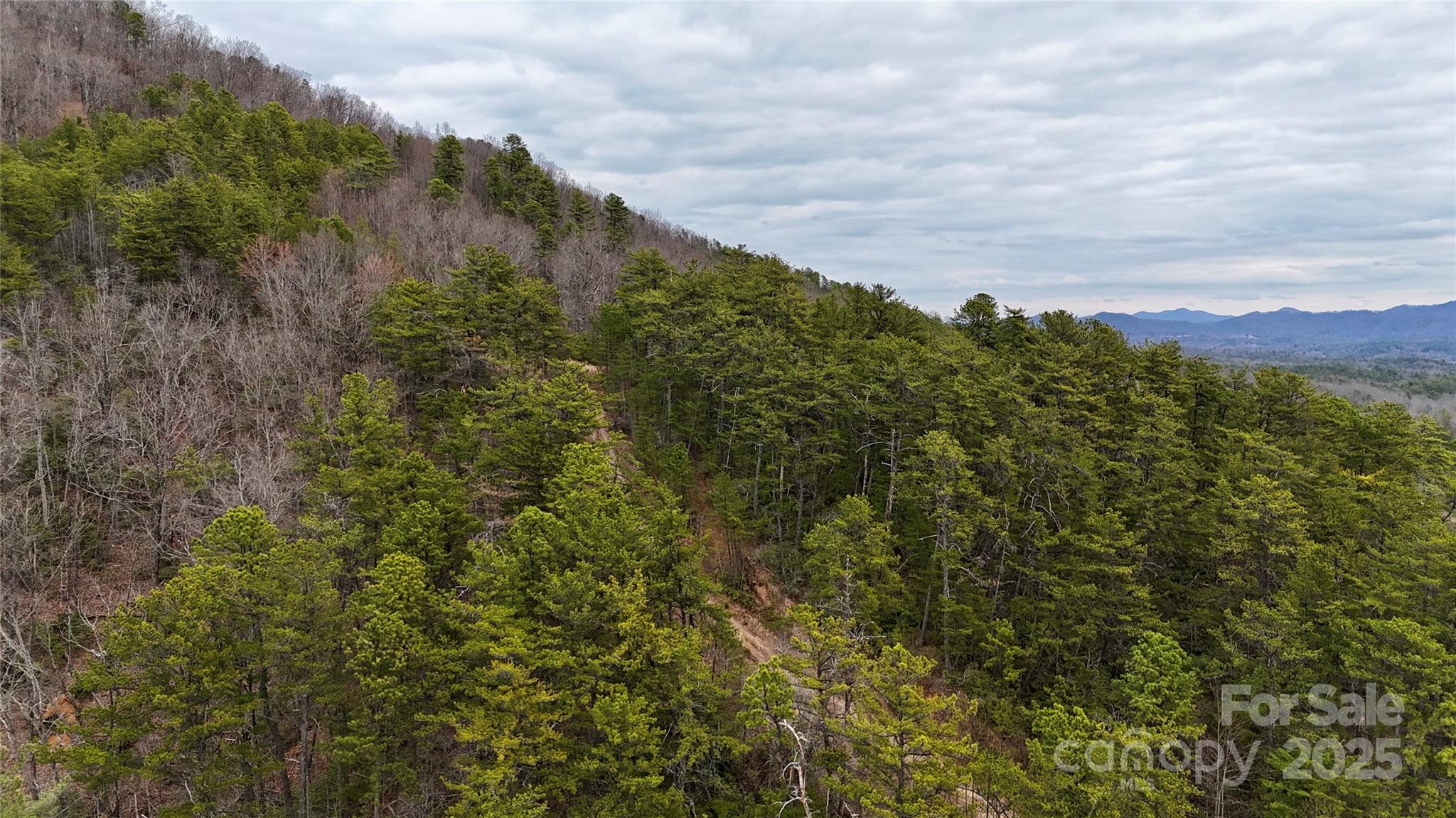 0 Whisnant Road, Unit 7 Lenoir, NC 28645 - Photo 12 of 14 a view of a lush green forest with mountains in the background