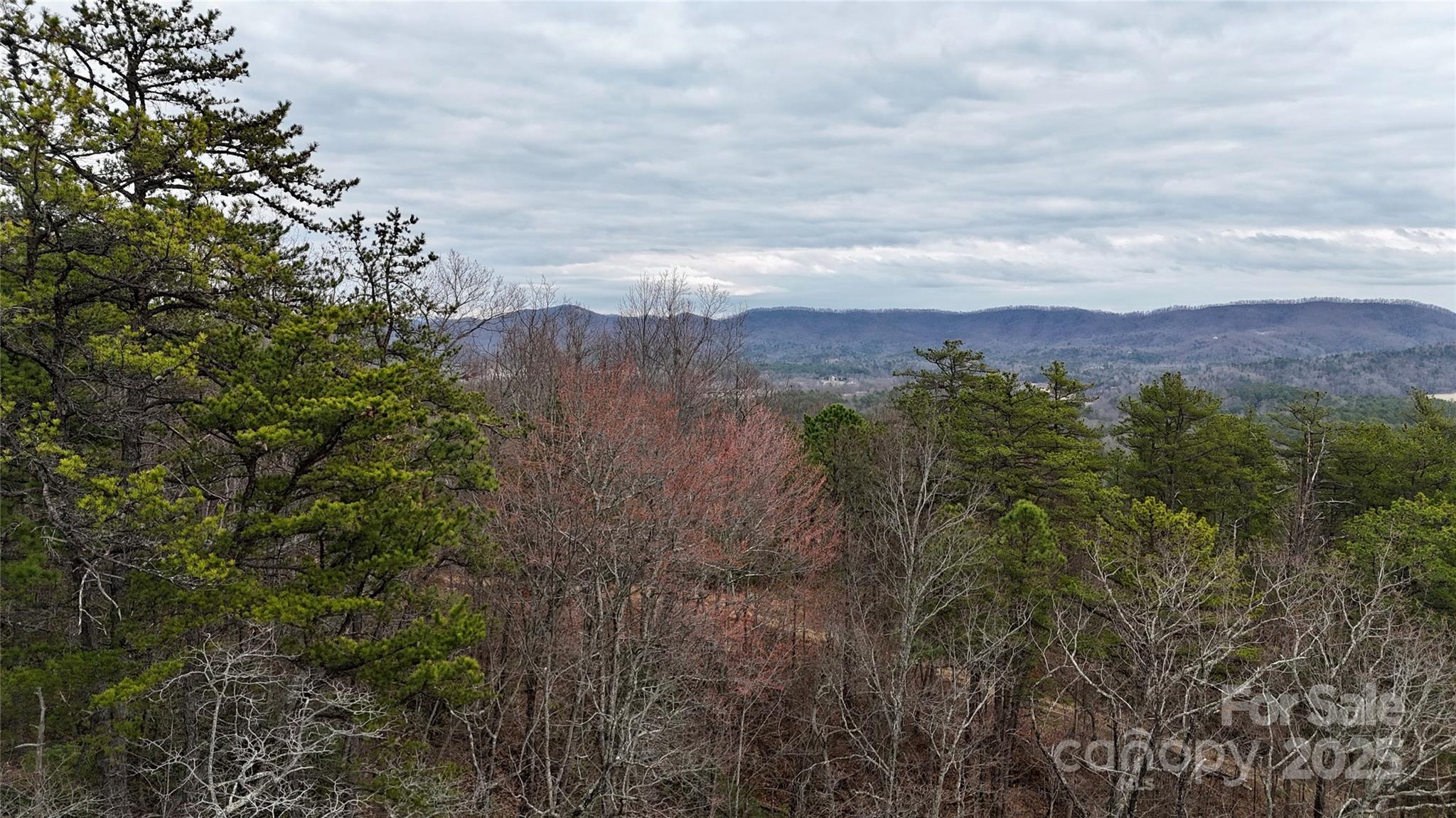 0 Whisnant Road, Unit 7 Lenoir, NC 28645 - Photo 14 of 14 a view of a city with lush green forest